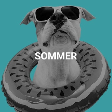 Delta Radio Sommer