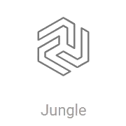 Радио Record Jungle