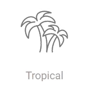 Радио Record Tropical